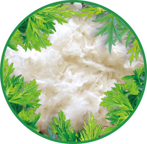 凯发k8天生赢家一触即发罗布麻